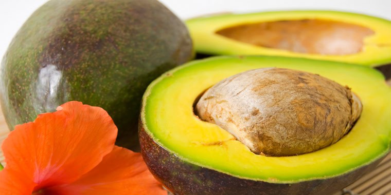avocado1